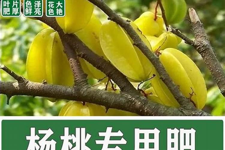 磷肥磷肥施用