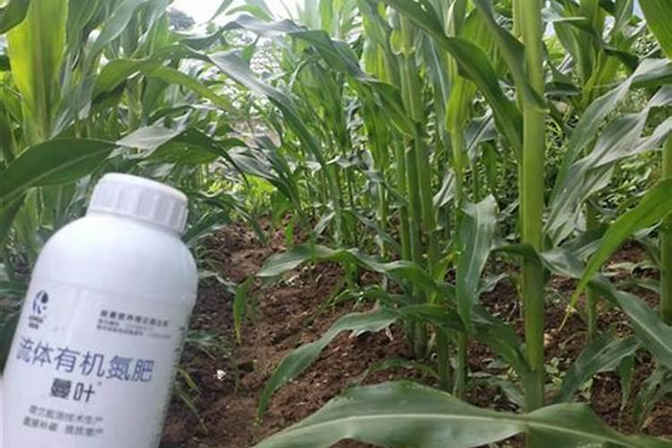 磷肥用于什么农作物 附使用方法