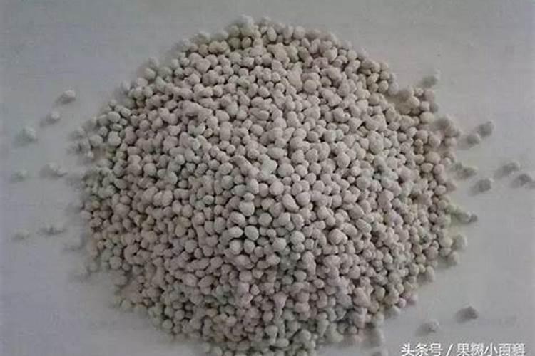 磷肥的最佳使用时间及用量