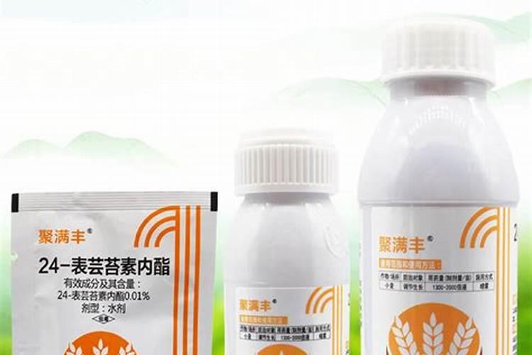 小麦杨花期用芸苔素好还是用胺鲜酯好？