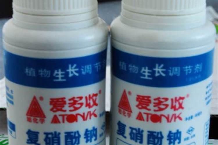 各位老师,这是辣椒的什么病？