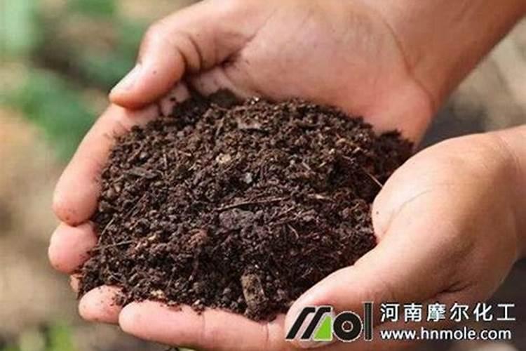 有机水溶肥料是什么？它的特点和使用方法是？