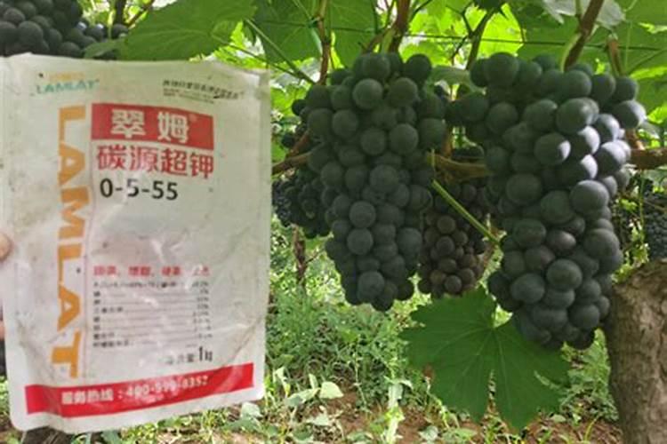 硼肥简介及详细资料
