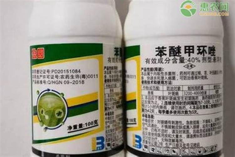 叶片发黄怎么办打苯磺隆除草剂把小麦都打死了？
