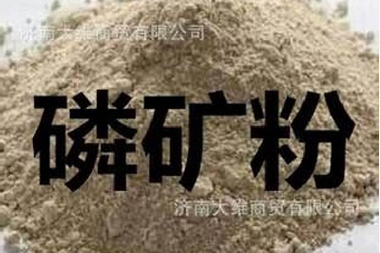 磷矿粉的性质如何？它的肥效与哪些因素有关？