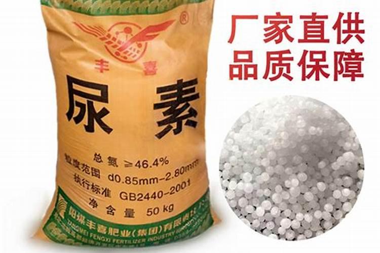 栀子花氮肥有哪些