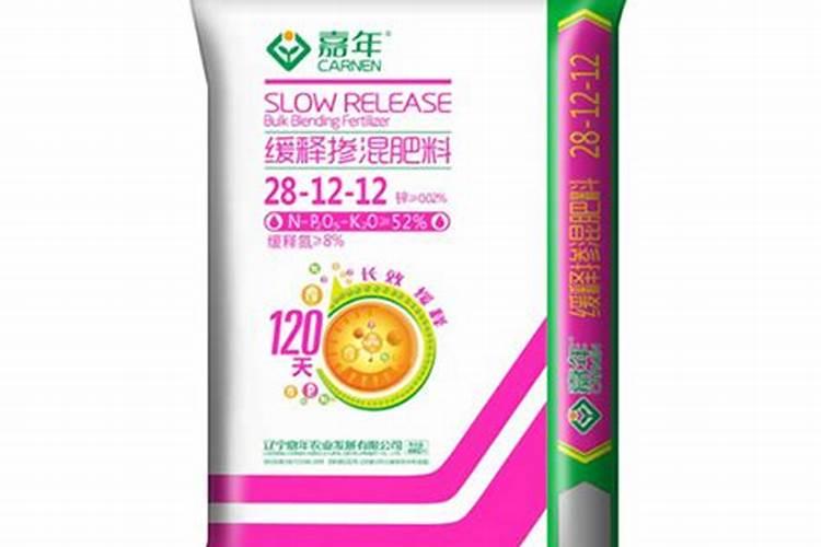 姓高的辈分怎么排？