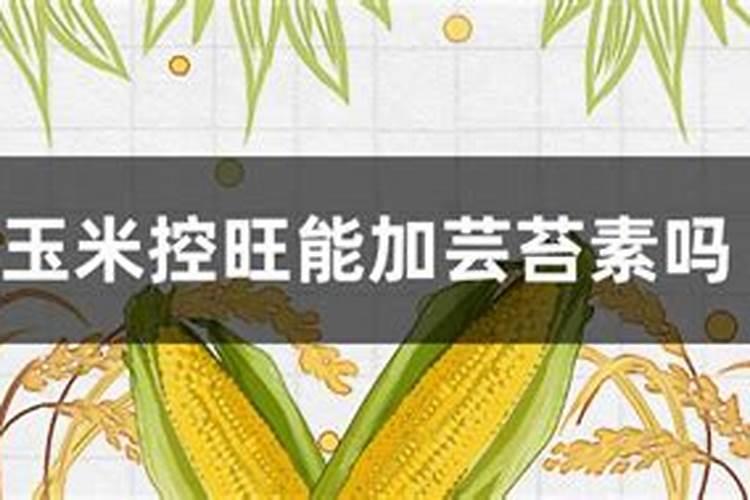 小麦控旺能加芸苔素吗