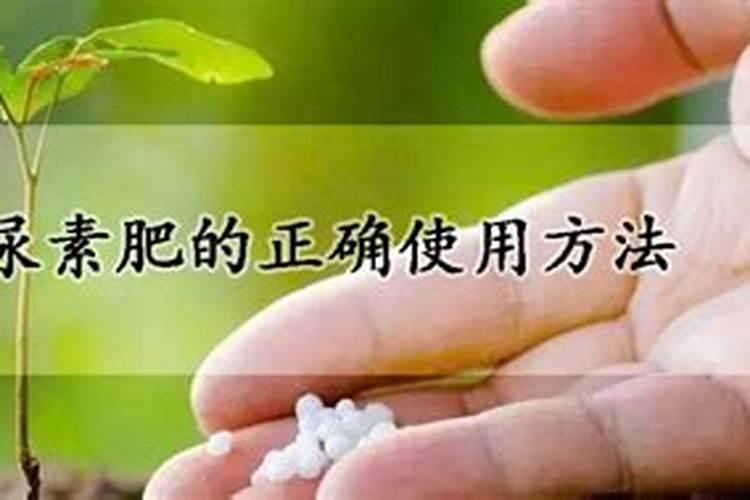 种菜什么复合肥好