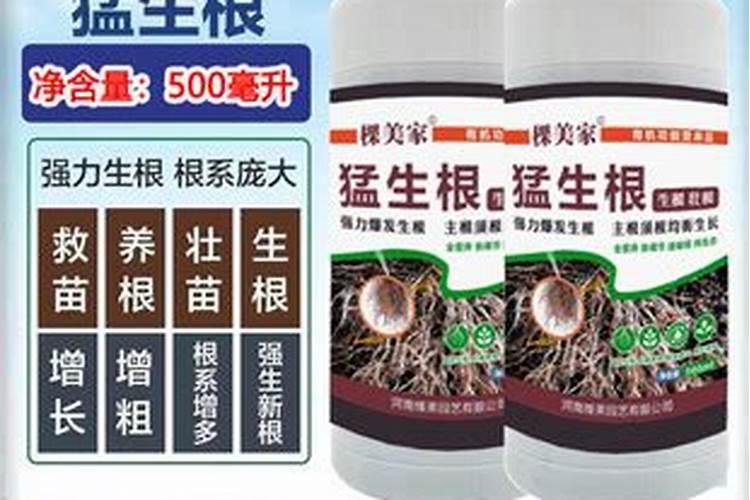 硝酸钾哪家好？