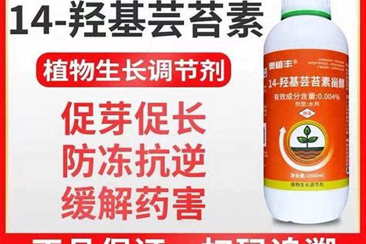 盐碱地种玉米用什么肥料最好