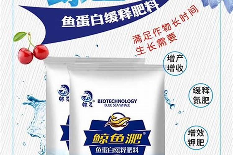 鱼蛋白肥料的功效与作用
