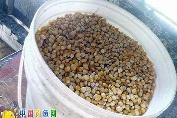 怎么样把玉米当肥料的使用到地里？