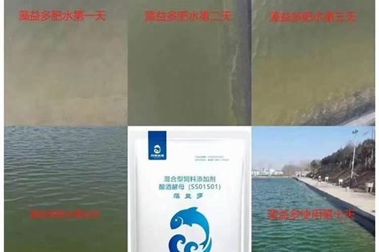 有哪些花需要磷肥