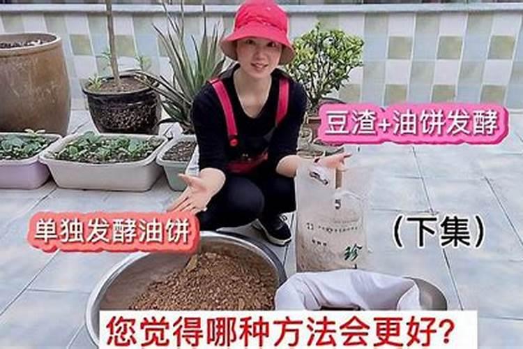 能用油饼给兰花施肥吗？