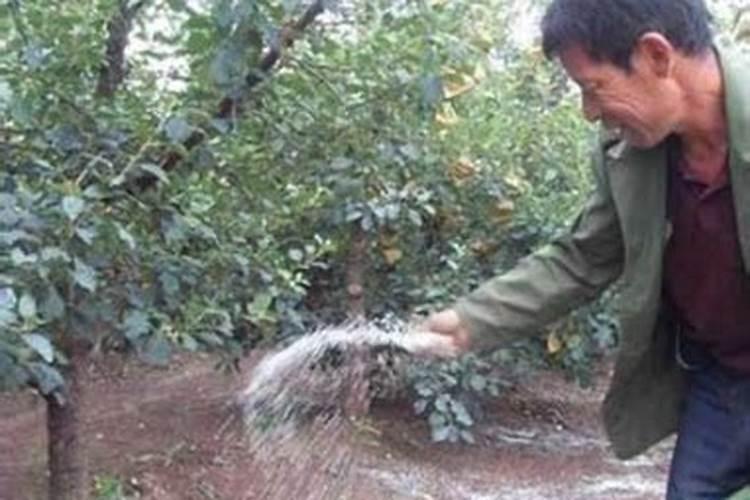 复合肥标识上面加2Mgo是什么意思