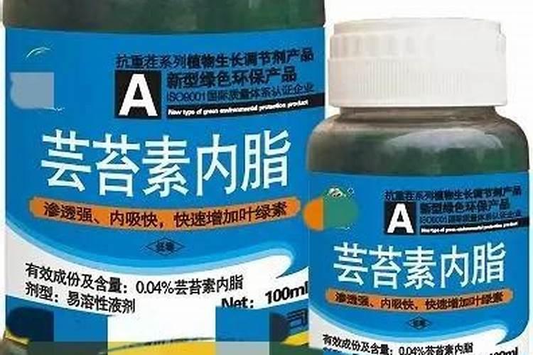 芸苔素对大蒜上的作用