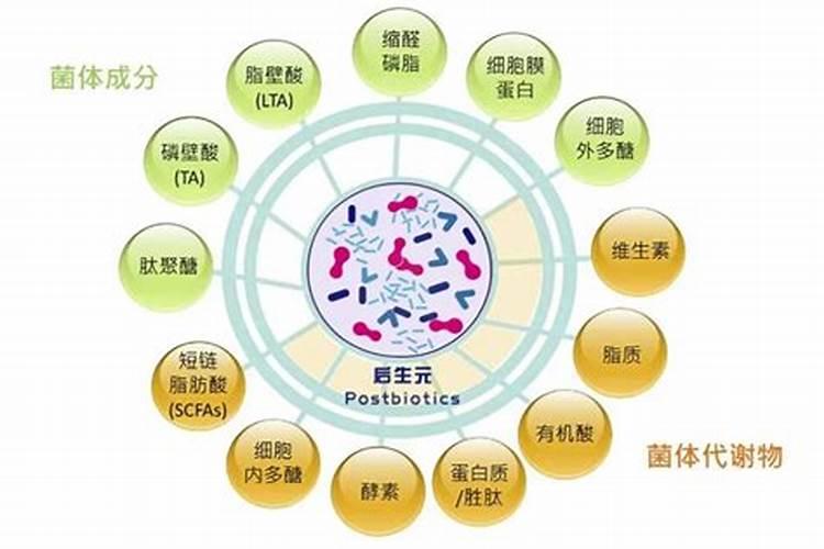 怎么做有机肥