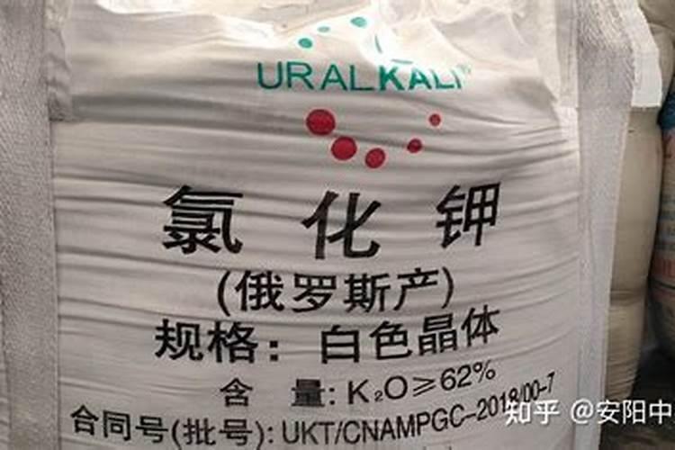 芸苔素对大蒜上的作用