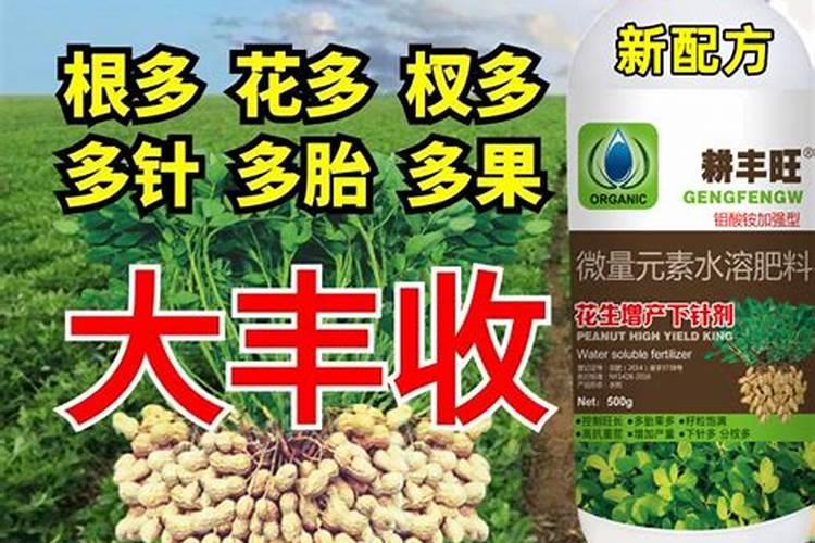 花生叶面肥用什么高产 什么时候施肥好
