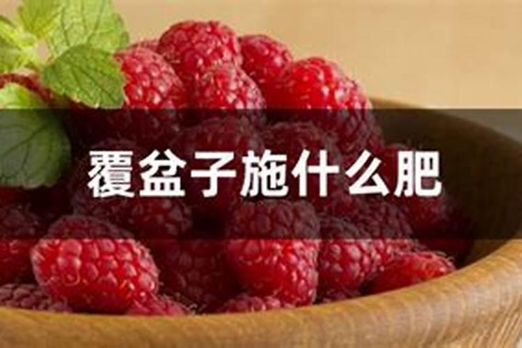 扶桑花施什么肥最好