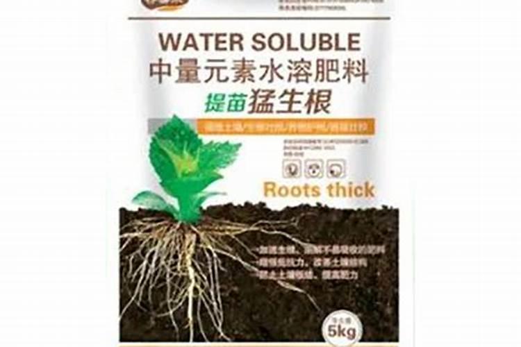 扶桑花施什么肥最好
