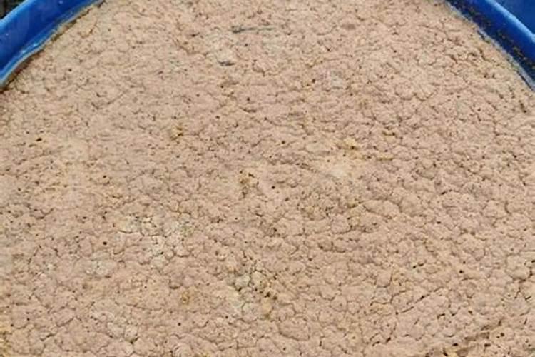 种植西瓜用什么肥料最佳？不同生长阶段,巧施肥料