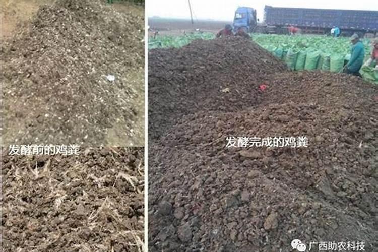 木屑发酵成为可用肥料的具体做法是怎样的