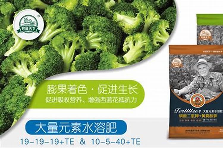多肉施什么肥好多肉施什么肥