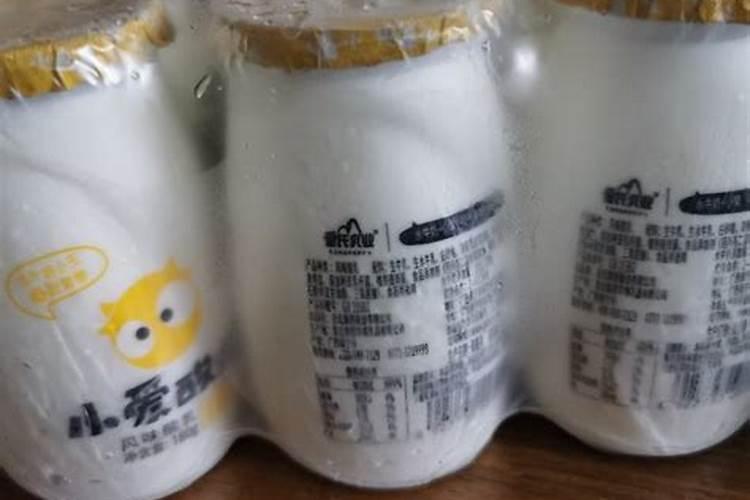 牛奶可以浇金钱树吗 牛奶浇金钱树的正确方法