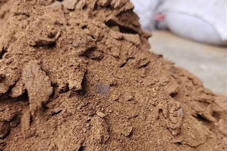 菜籽饼和花生麸,哪个肥的效更好？
