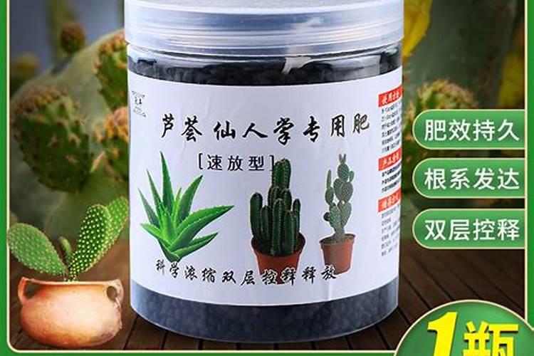 花盆种芦荟用什么肥料好