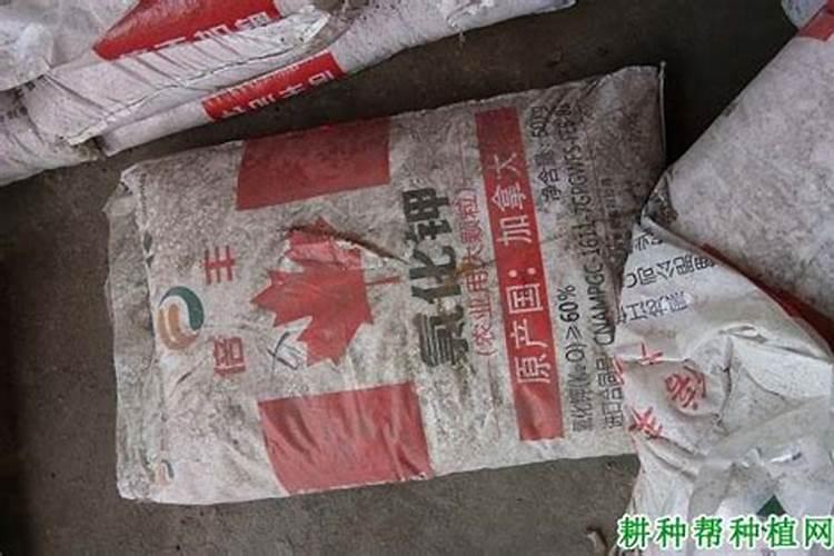 氯化钾在土壤中的转化有何特点？如何施用才能提高它的效肥