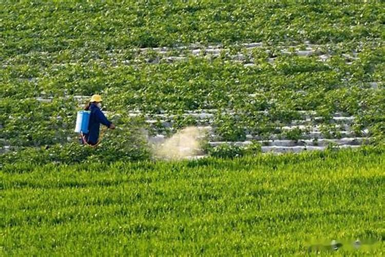 中国水溶肥的前十名 中国水溶肥的前十名是
