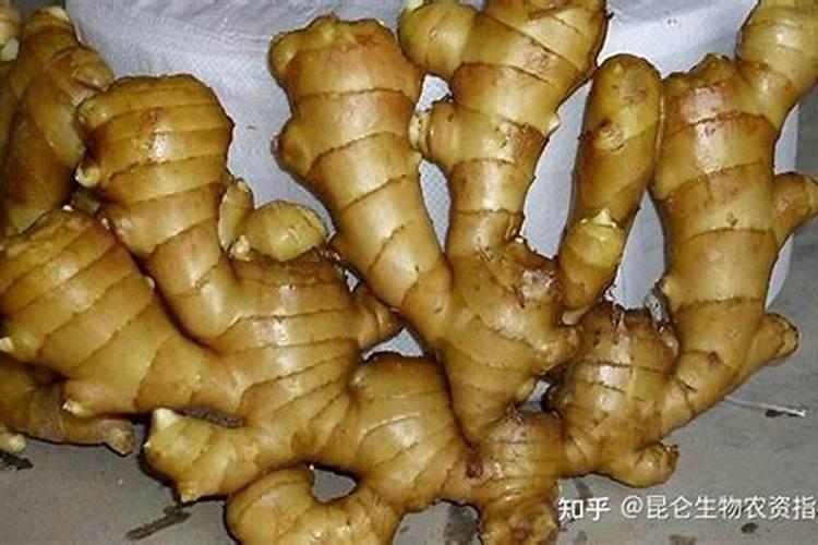 生姜追肥用什么肥料好？