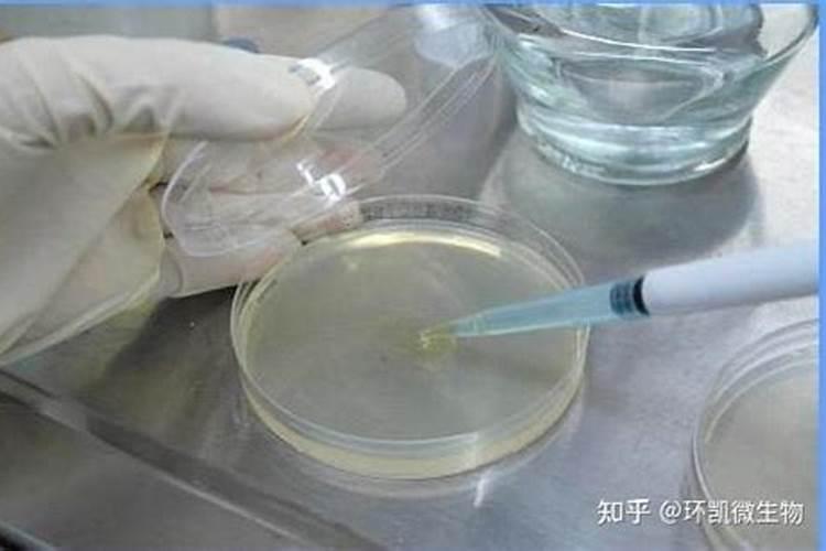 磷肥分类