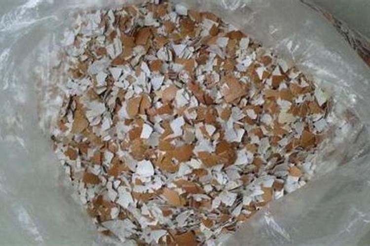 植物吸收碳酸钙容易还是氧化钙容易