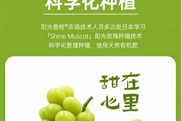 怎样检验铵态氮肥
