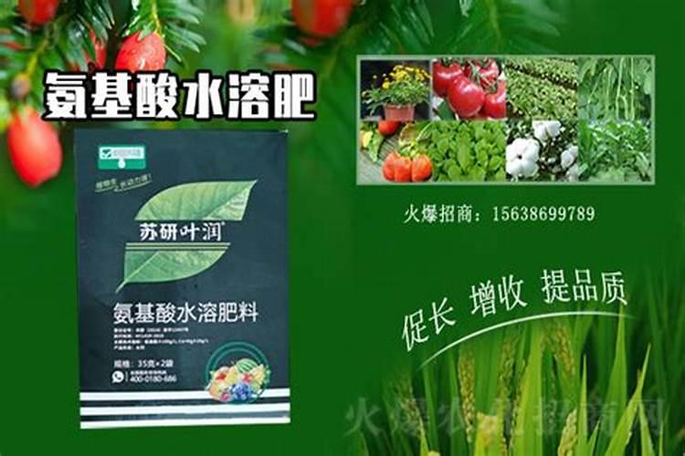 氨基酸水溶肥对于大豆生长会起到怎样的作用