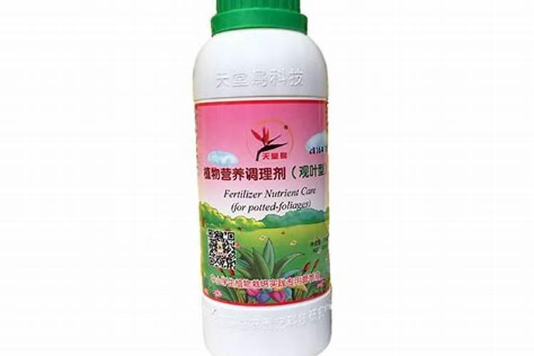 立枯丝核菌褐斑病防治