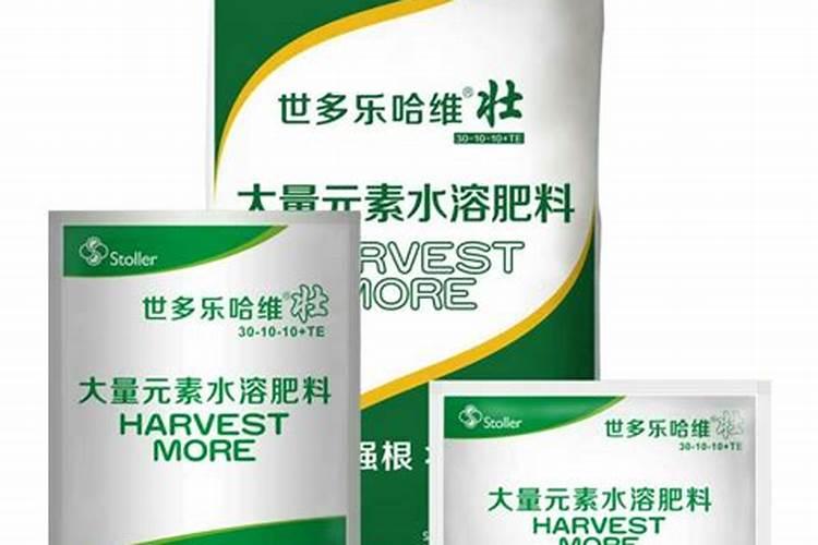 向日葵施什么肥最好
