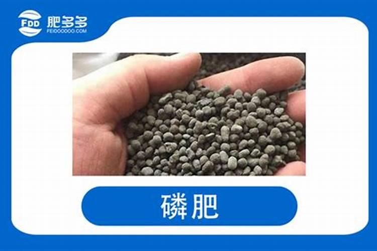 磷肥里包括哪些植物