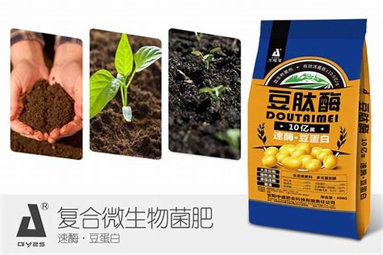 使盆栽生根壮苗的肥有哪些？