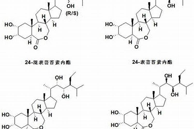 矿源黄腐酸钾浇兰花多少倍合适？