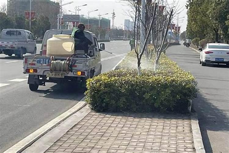 桃树谢花后能喷石流合剂吗？