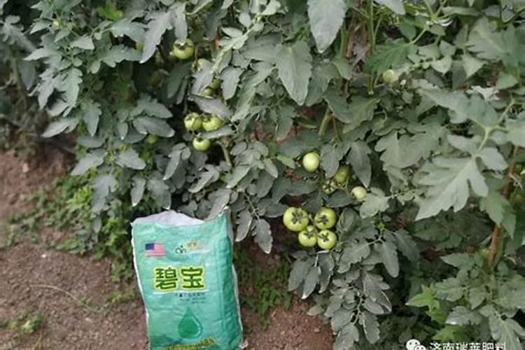 果树能用氯化钾肥料吗 有哪些优缺点