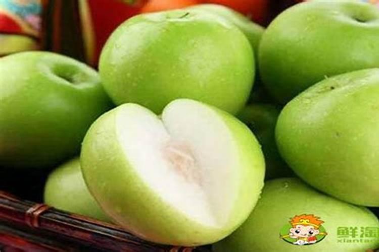 台湾青枣应该如何施肥