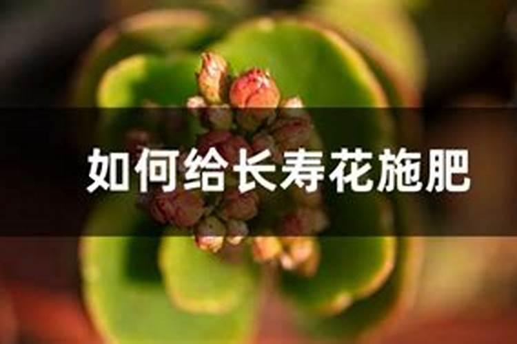水溶肥下雨天施肥好吗