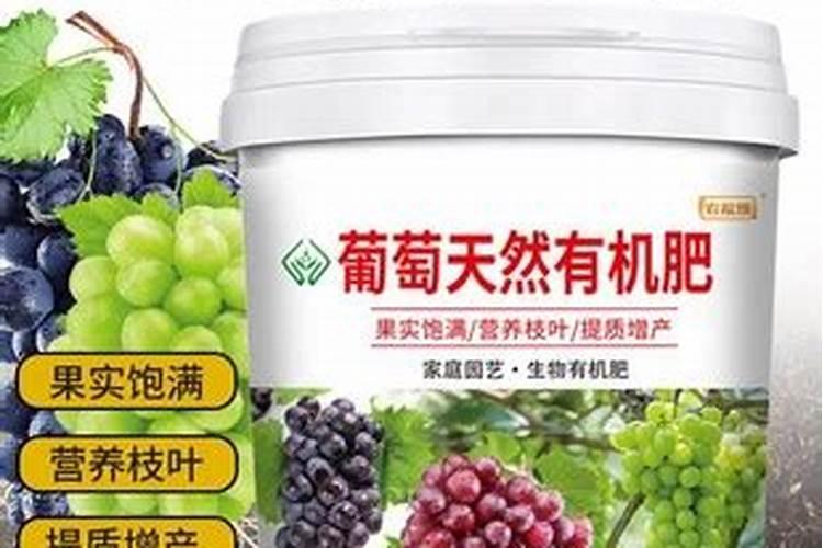 桃树大量落叶是什么原因 桃树为什么大量掉叶