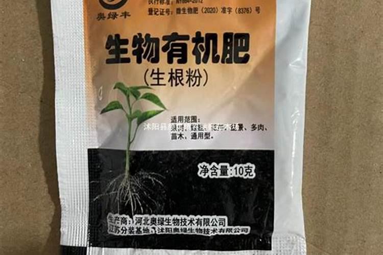 火龙果苗扦插快速生根方法